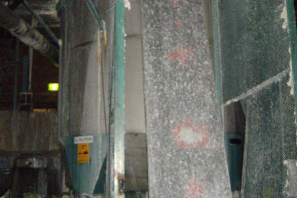 IMGP0650 600x400